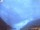 Webcam in Lungern, 4.6 mi away