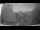 Webcam in Heemskerk, 10.4 mi away