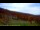 Webcam in Nellysford, Virginia, 81.1 km entfernt