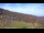 Webcam in Nellysford, Virginia, 27.9 km entfernt