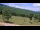 Webcam in Nellysford, Virginia, 80.1 km