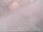 Webcam in Fort Lauderdale, Florida, 4.5 mi away