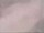 Webcam in Fort Lauderdale, Florida, 8.5 mi away