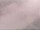 Webcam in Fort Lauderdale, Florida, 12.5 km entfernt