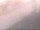 Webcam in Fort Lauderdale, Florida, 45.5 mi away
