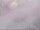 Webcam in Fort Lauderdale, Florida, 17.3 mi away