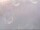 Webcam in Fort Lauderdale, Florida, 101.6 km