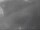 Webcam in Fort Lauderdale, Floride, 3.5 km