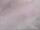 Webcam in Fort Lauderdale, Florida, 2.1 mi away