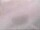 Webcam in Fort Lauderdale, Florida, 2.5 mi away