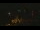 Webcam in Naples, Florida, 302.8 mi away