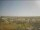 Webcam in Estero, Florida, 8.3 mi away