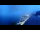 Webcam in Brissago (Lago Maggiore), 0.1 km