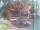 Webcam in Harrison, New Jersey, 28.5 mi away