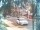 Webcam in Harrison, New Jersey, 15.7 km entfernt