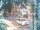 Webcam in Harrison, New Jersey, 10.9 km