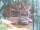Webcam in Harrison, New Jersey, 5.3 mi away
