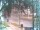 Webcam in Harrison, Nueva Jersey, 13.9 km