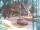Webcam in Harrison, New Jersey, 13.8 km