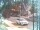 Webcam in Harrison, New Jersey, 19.3 mi away