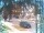 Webcam in Harrison, New Jersey, 16.7 km entfernt