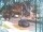 Webcam in Harrison, New Jersey, 4.8 mi away