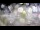 Webcam in Stallings, Caroline du Nord, 22.8 km