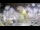 Webcam in Stallings, North Carolina, 133.2 km