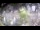 Webcam in Stallings, North Carolina, 10.7 mi away