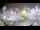 Webcam in Stallings, North Carolina, 133.2 km