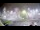 Webcam in Stallings, North Carolina, 51.4 mi away