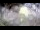Webcam in Stallings, North Carolina, 10.7 mi away