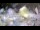 Webcam in Stallings, Caroline du Nord, 89.1 km