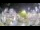 Webcam in Stallings, North Carolina, 115.9 km entfernt