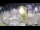Webcam in Stallings, North Carolina, 106.8 mi away