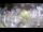 Webcam in Stallings, North Carolina, 266.6 km