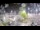 Webcam in Stallings, North Carolina, 258.9 km entfernt
