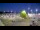 Webcam in Stallings, Carolina del Norte, 19.2 km
