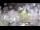 Webcam in Stallings, North Carolina, 43.5 mi away