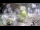 Webcam in Stallings, Caroline du Nord, 18.7 km