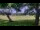Webcam in Camp Verde, Texas, 273.7 km entfernt