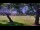 Webcam in Camp Verde, Texas, 403.4 km entfernt
