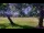 Webcam in Camp Verde, Texas, 403.4 km
