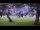 Webcam in Camp Verde, Texas, 417.3 km entfernt