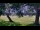 Webcam in Camp Verde, Texas, 53 mi away