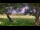 Webcam in Camp Verde, Texas, 53.1 mi away