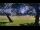 Webcam in Camp Verde, Texas, 369.6 km