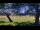 Webcam in Camp Verde, Texas, 369.6 km