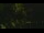Webcam in Callisburg, Texas, 81.2 mi away