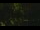 Webcam in Callisburg, Texas, 210.3 km